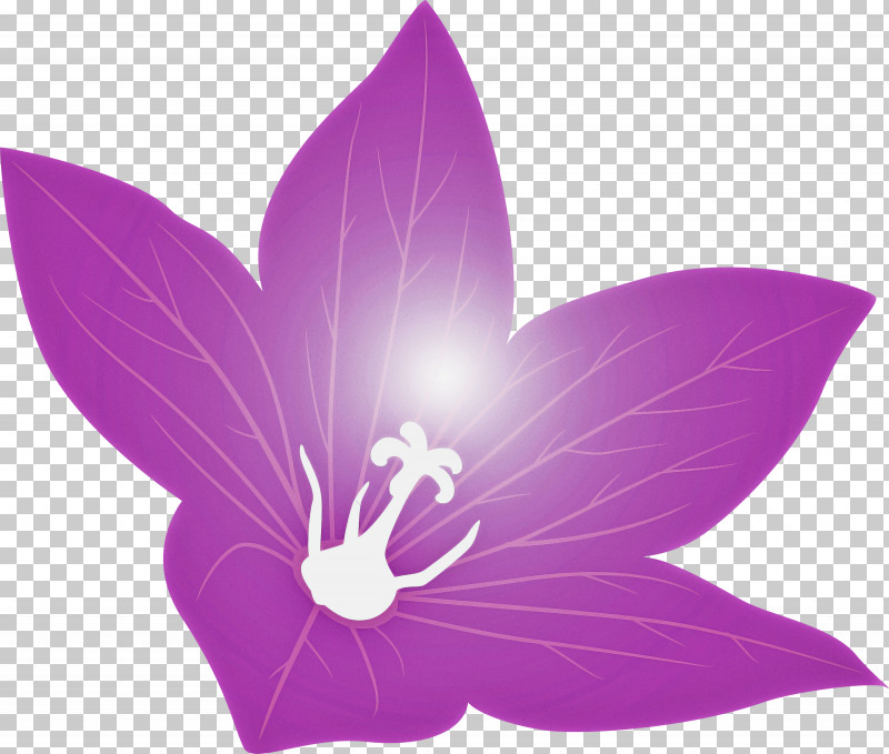 Balloon Flower PNG, Clipart, Balloon Flower, Biology, Flora, Flower, Herbaceous Plant Free PNG Download