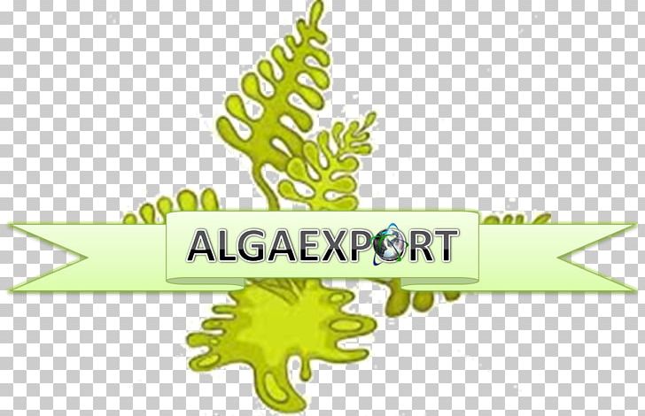 Algae Leaf PNG, Clipart, Algae, Algas, Area, Brand, Cartoon Free PNG Download