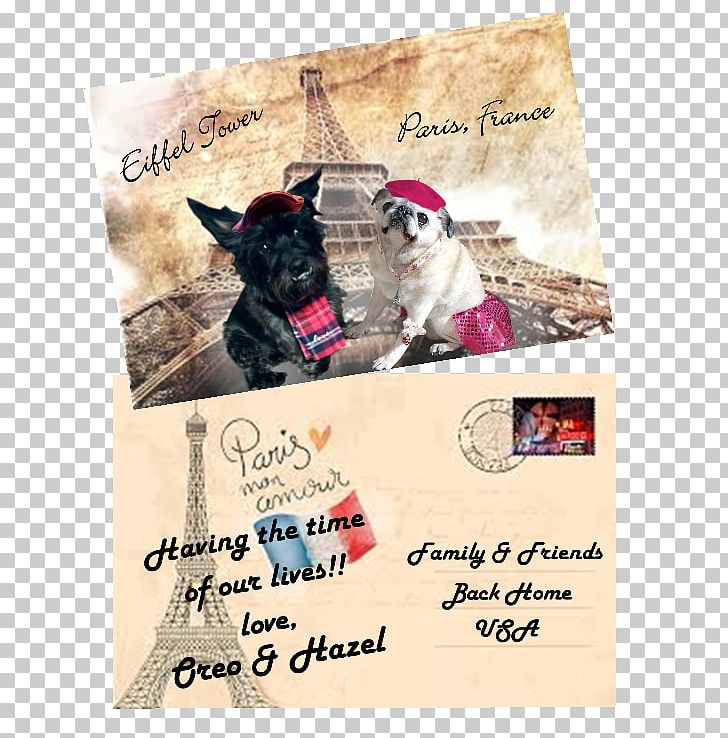 Eiffel Tower 3rd Arrondissement Dog Croissant Advertising PNG, Clipart, 3rd Arrondissement, Advertising, Contact Lenses, Croissant, Dog Free PNG Download