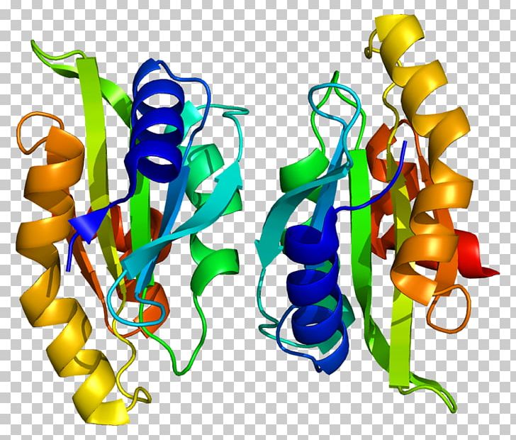 TWF1 Modernists At Odds: Reconsidering Joyce And Lawrence Protein Gene Actin PNG, Clipart, Actin, Actinbinding Protein, Artwork, Conserved Sequence, Food Free PNG Download