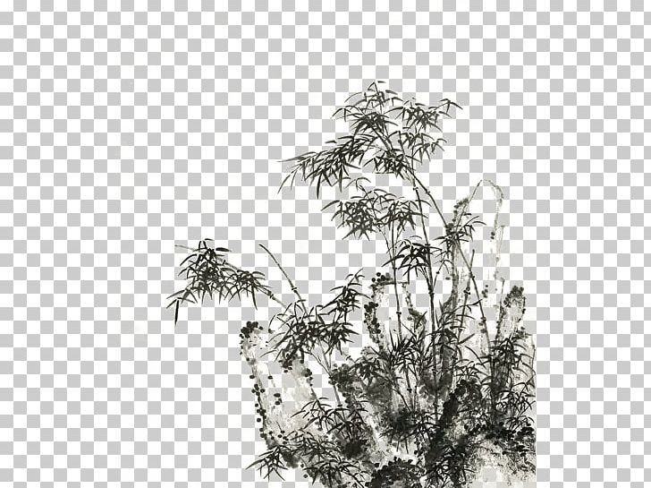 Cartoon Illustration PNG, Clipart, Branch, Encapsulated Postscript, Flower, Forest, Grass Free PNG Download