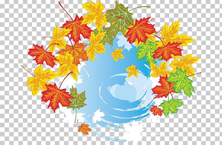 Maple Leaf Autumn Leaves Graphics PNG, Clipart, Abscission, Autumn, Autumn Leaves, Branch, Drawing Free PNG Download