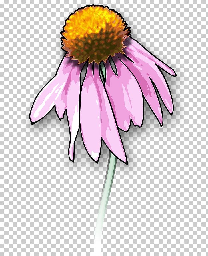Drawing PNG, Clipart, Art, Aster, Blue And Purple Morning Glory, Cartoon, Coneflower Free PNG Download