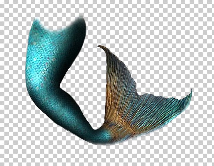 Mermaid Tail Siren PNG, Clipart, Art, Avatan, Avatan Plus, Digital Image, Fantasy Free PNG Download