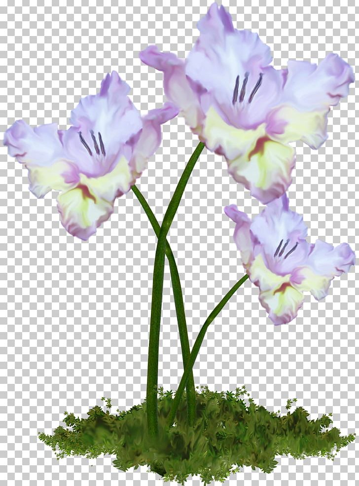 Cut Flowers Plant Stem PNG, Clipart, Cut Flowers, Floral Design, Flower, Flower Bouquet, Flowering Plant Free PNG Download