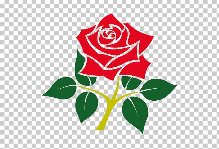 Lancashire County Cricket Club England Cricket Team Hampshire County Cricket Club Blackpool Cricket Club PNG, Clipart, Artwork, County Cricket, Cricket, Cut Flowers, Flower Free PNG Download