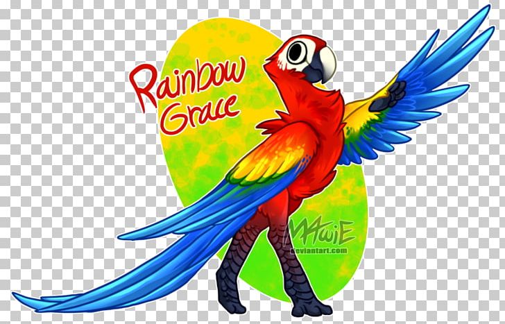 Macaw Parrot Beak Feather PNG, Clipart, Animals, Art, Beak, Bird, Fauna Free PNG Download