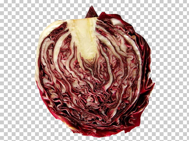 Radicchio Desktop PNG, Clipart, Austral Pacific Energy Png Limited, Chayote, Chicory, Desktop Wallpaper, Download Free PNG Download