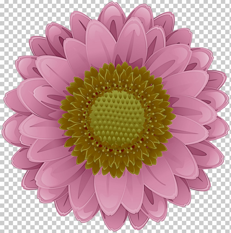 Floral Design PNG, Clipart, Chrysanthemum, Common Daisy, Cut Flowers, Daisy Family, Floral Design Free PNG Download