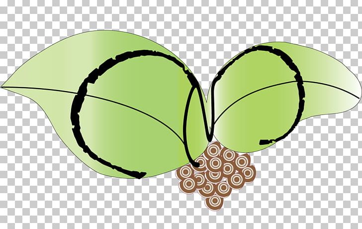 Butterfly Wing Insect PNG, Clipart, Aztec, Butterflies And Moths, Butterfly, Fruit, Green Free PNG Download