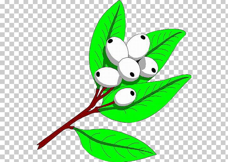 Flower PNG, Clipart, Auglis, Branch, Broken Egg, Cdr, Coreldraw Free PNG Download