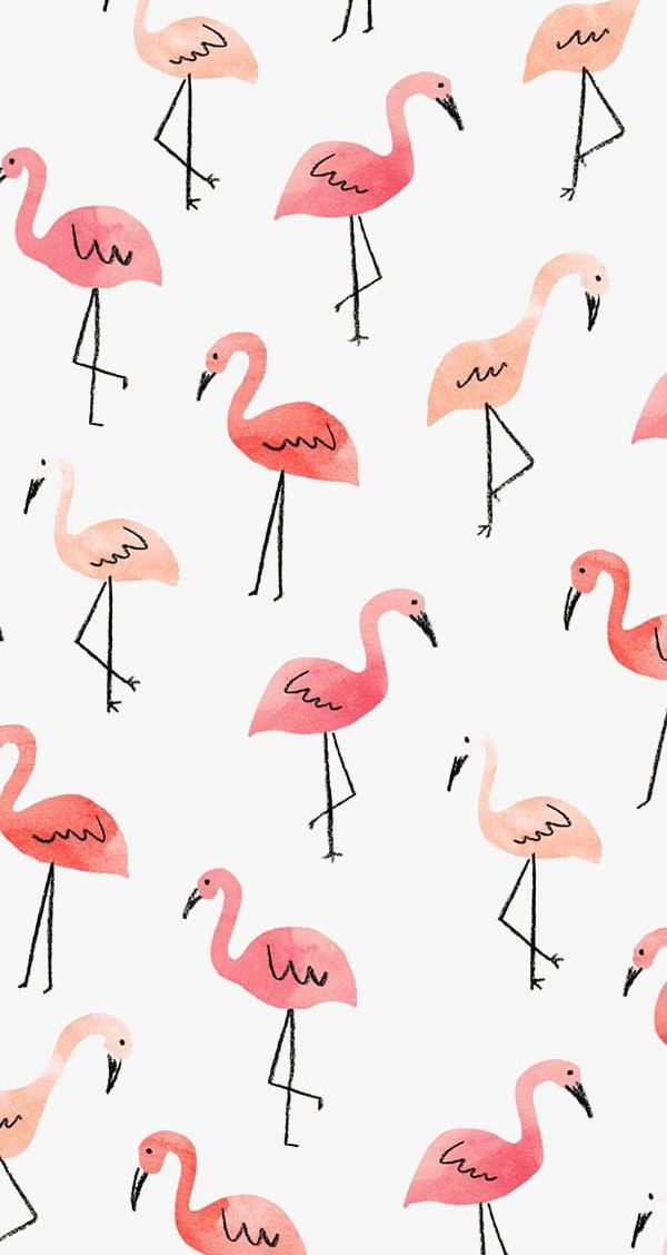 Flamingos PNG, Clipart, Background, Drawing, Drawing Flamingos, Flamingos, Flamingos Clipart Free PNG Download