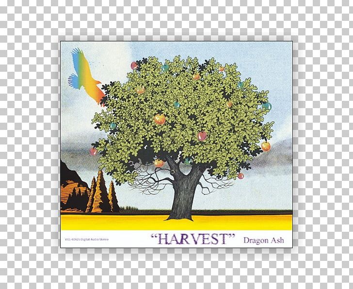 Harvest Dragon Ash Album Río De Emoción Fantasista PNG, Clipart, Album, Harvest, Intro, Music, Plant Free PNG Download