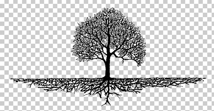 Tree Root Wood Mulch Arborist PNG, Clipart, Arborist, Artwork, Black And White, Branch, Business Free PNG Download