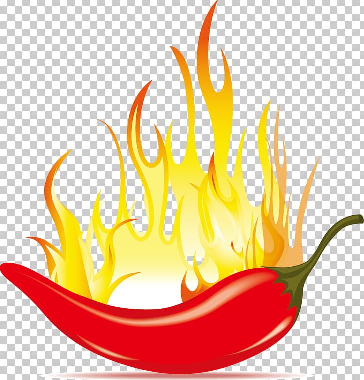 Chili Con Carne Chili Pepper PNG, Clipart, Black Pepper, Can Stock Photo, Capsicum, Cartoon, Chili Peppers Free PNG Download
