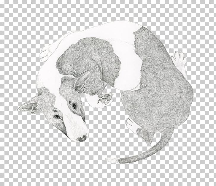 Dog Licking Cat Veterinarian Paw PNG, Clipart, Animals, Black And White, Bone, Carnivoran, Cat Free PNG Download