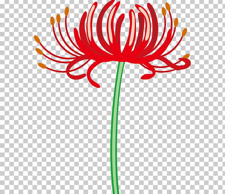 Red Spider Lily Floral Design Flower Png Clipart Art Artwork Autumn Clip Art Cut Flowers Free