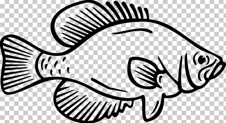 Coloring Book White Crappie Fish Black Crappie PNG, Clipart, Animal, Animals, Artwork, Bass, Black Free PNG Download