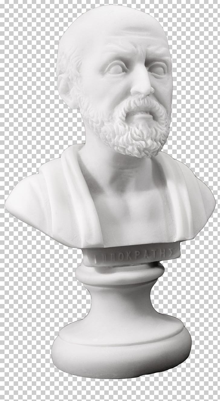 Hippocrates Legal Nurse Consultant Bust Nursing Care Panacea PNG, Clipart, Apollo, Art, Asclepius, Black And White, Bust Free PNG Download