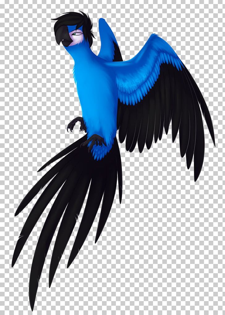 Macaw Nigerian Naira Rio Drawing PNG, Clipart,  Free PNG Download