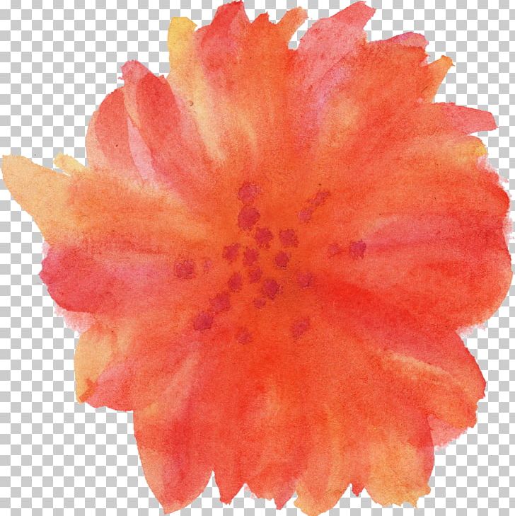 Transparent Watercolor Flower Watercolor Painting PNG, Clipart, Color, Floral Design, Flower, Nature, Orange Free PNG Download