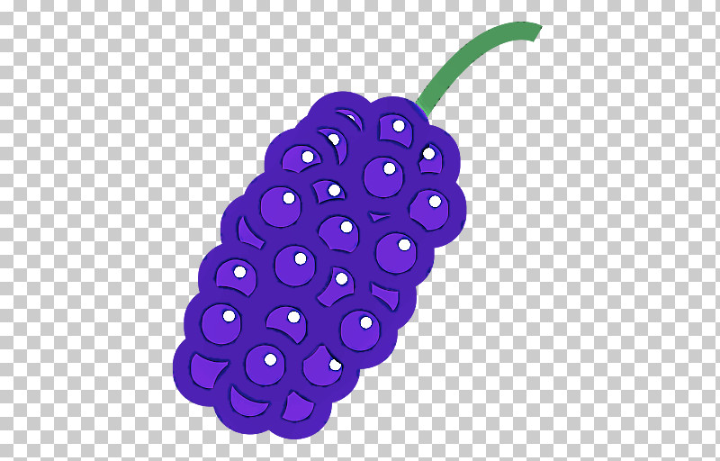 Violet Purple Fruit Plant Grape PNG, Clipart, Berry, Fruit, Grape, Plant, Purple Free PNG Download