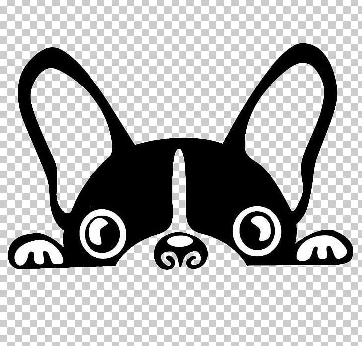 Boston Terrier French Bulldog Brazilian Terrier Puppy PNG, Clipart, Animals, Black, Black Hair, Black White, Bulldog Free PNG Download