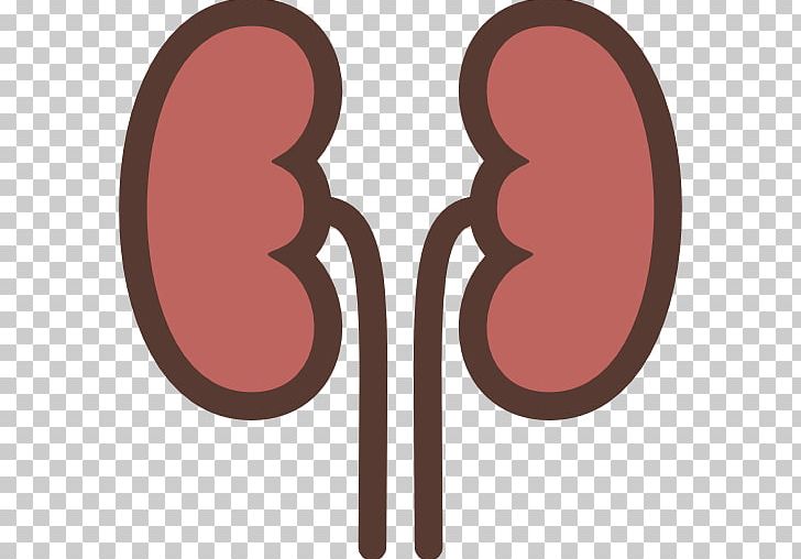 Computer Icons Kidney PNG, Clipart, Circle, Computer Icons, Encapsulated Postscript, Kidney, Kidney Stone Free PNG Download