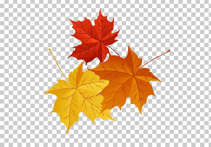 Graphics Autumn Illustration PNG, Clipart, Autumn, Autumn Leaf Color, Computer Icons, Flowering Plant, Leaf Free PNG Download