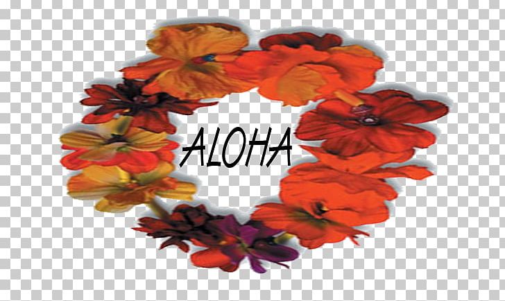 Hawaiian Maui Language Aloha Hello PNG, Clipart, Affection, Aloha, English, Flower, Greeting Free PNG Download