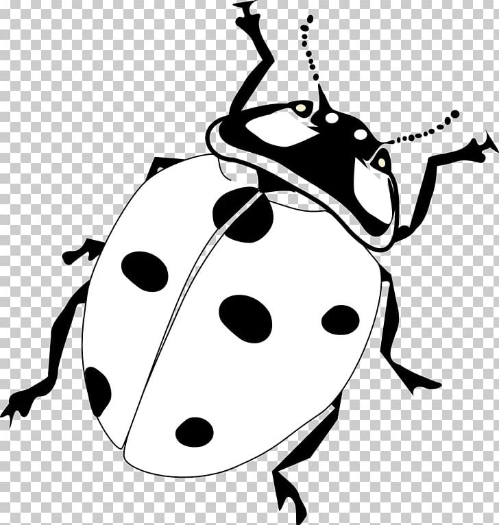 Ladybird Drawing PNG, Clipart, Artwork, Beetle, Black, Black And White, Computer Icons Free PNG Download