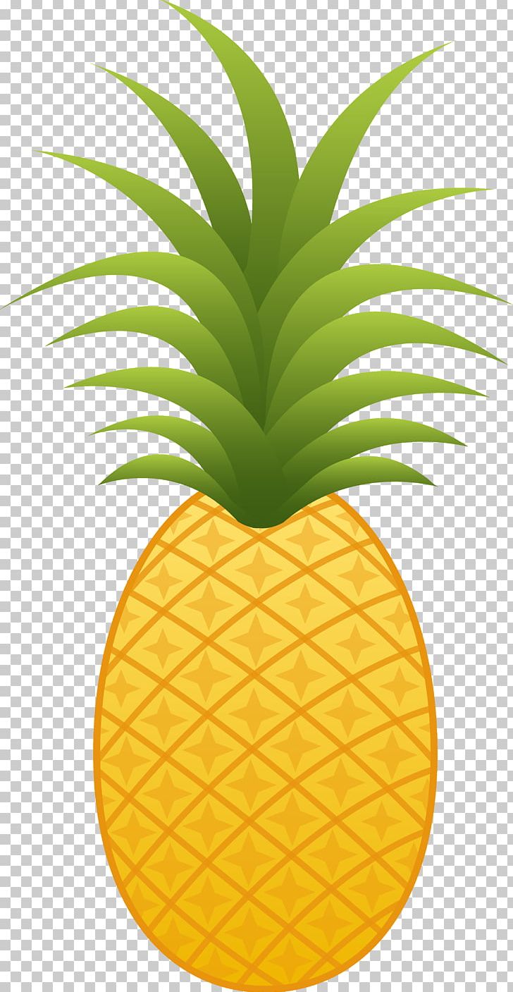 Pineapple PNG, Clipart, Ananas, Bromeliaceae, Cartoon, Clip Art, Color Free PNG Download