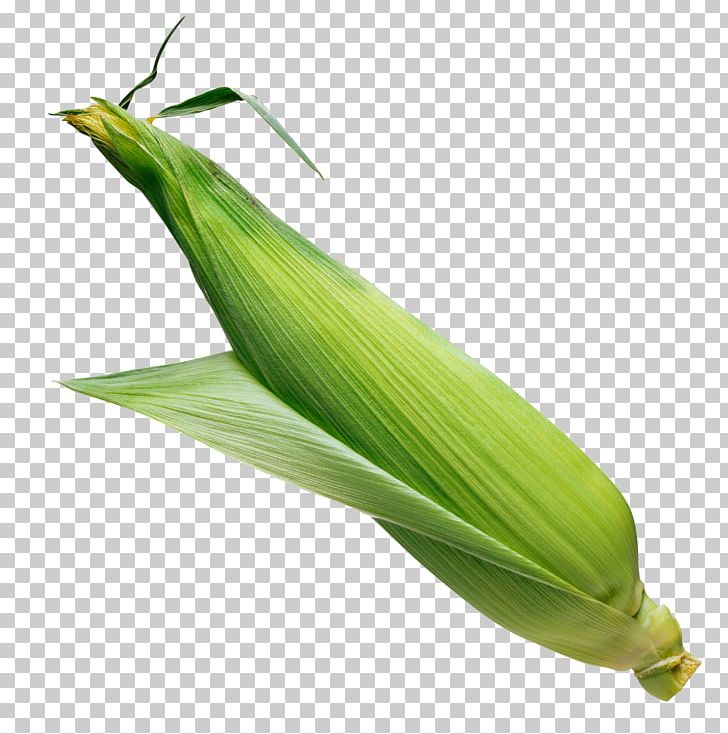 Popcorn Sweet Corn Corn Flakes Corn On The Cob PNG, Clipart, Commodity, Corn Flakes, Corn Kernel, Corn On The Cob, Corn Syrup Free PNG Download
