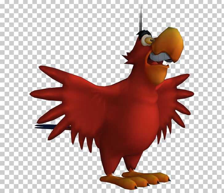Rooster Beak Feather Chicken As Food PNG, Clipart, Aladdin, Animals, Beak, Bird, Chicken Free PNG Download