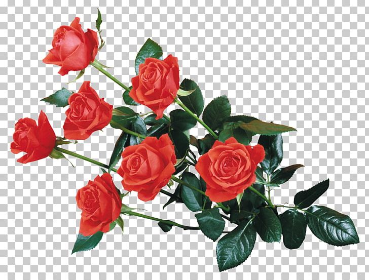 Rose Desktop Flower PNG, Clipart, Artificial Flower, Black Rose, Cut Flowers, Desktop Wallpaper, Display Resolution Free PNG Download