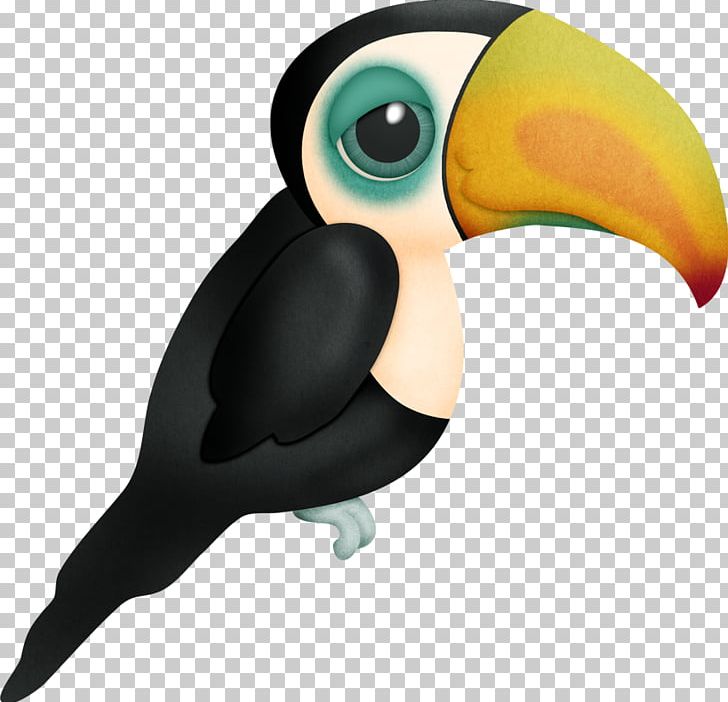 Bird Toucan Animal Drawing PNG, Clipart, Animal, Animals, Animation, Beak, Bird Free PNG Download