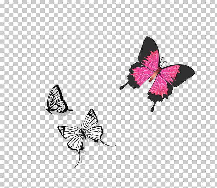 Graphic Design Computer File PNG, Clipart, Adobe Illustrator, Brush Footed Butterfly, Butterflies, Butterfly Group, Cartoon Free PNG Download