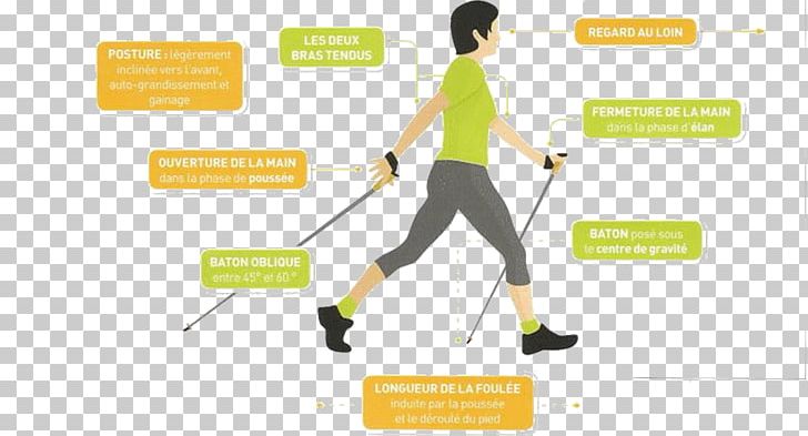 Nordic Walking Sports Sport De Plein Air Hiking PNG, Clipart, Area, Brand, Diagram, Hiking, Joint Free PNG Download