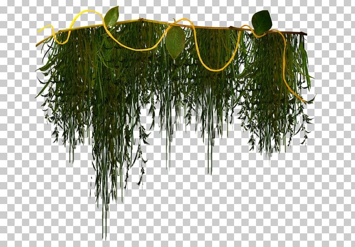 Branch Others Plant Stem PNG, Clipart, Branch, Collage, Digital Image, E 90, Google Images Free PNG Download
