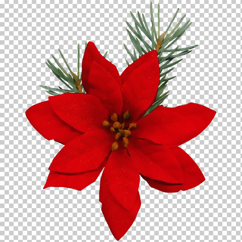 Christmas Ornament PNG, Clipart, Christmas Decoration, Christmas Ornament, Flower, Paint, Petal Free PNG Download