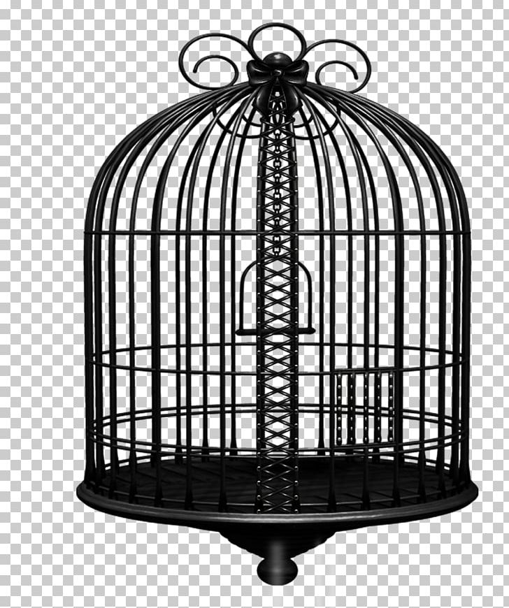 Cage Radyo Yakamoz Highway M06 PNG, Clipart, Bird Cages, Black And White, Cage, Highway M06, Iron Free PNG Download