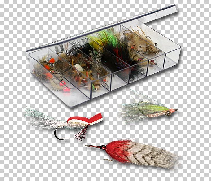Feather PNG, Clipart, Feather, Fishing Bait, Grand Slam Free PNG Download