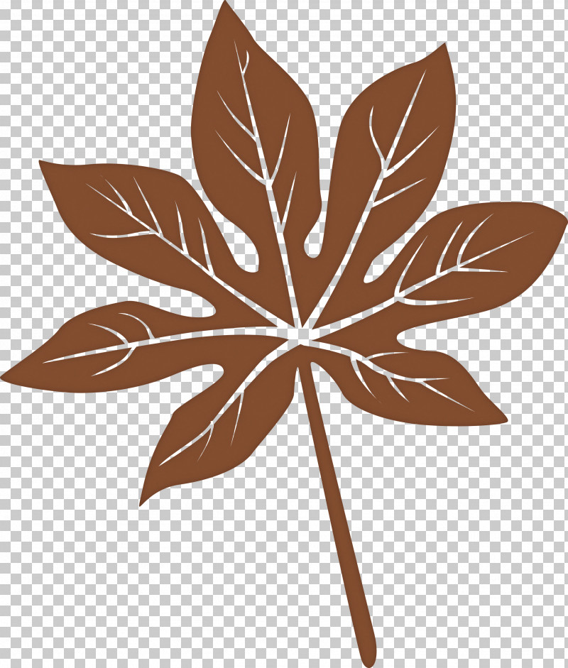 Leaf PNG, Clipart, Autumn Leaf Color, Biology, Flower, Geometry, Leaf Free PNG Download