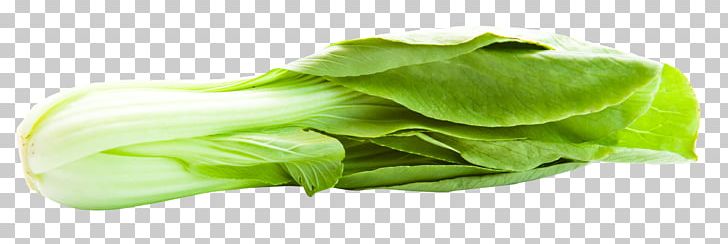 Bok Choy Romaine Lettuce Napa Cabbage PNG, Clipart, Bok Choy, Cabbage, Chinese Cabbage, Food, Iphone Free PNG Download