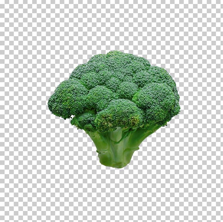 Broccoli Cauliflower Vegetable Food PNG, Clipart, Broccoflower, Broccoli 0 0 3, Broccoli Dog, Broccoli Sketch, Broccoli Sprout Free PNG Download