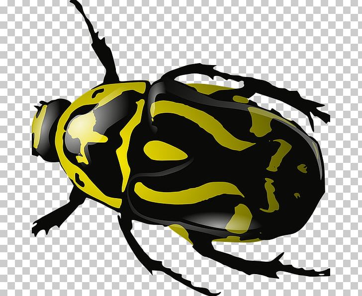 Computer Icons Desktop Beetle PNG, Clipart, Animals, Arthropod, Artwork, Beetle, Blog Free PNG Download
