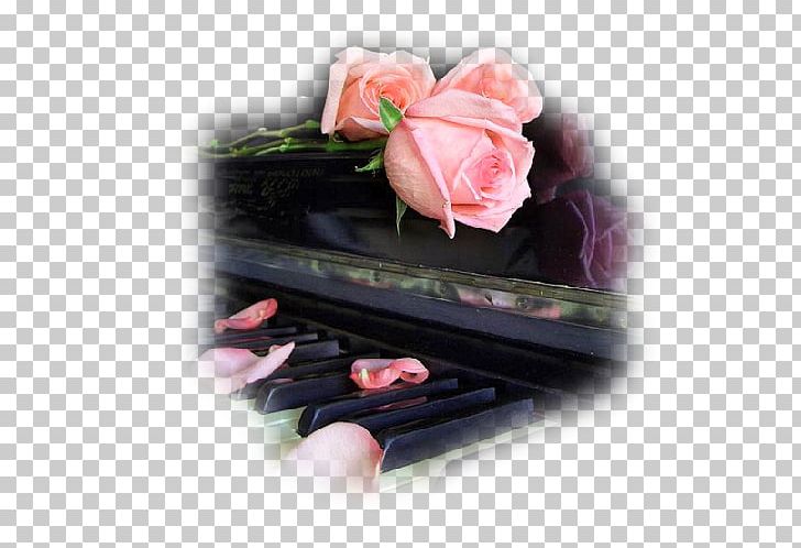 Garden Roses Piano Music Blog Flower PNG, Clipart, Artificial Flower, Blog, Clef, Flower, Flowering Plant Free PNG Download