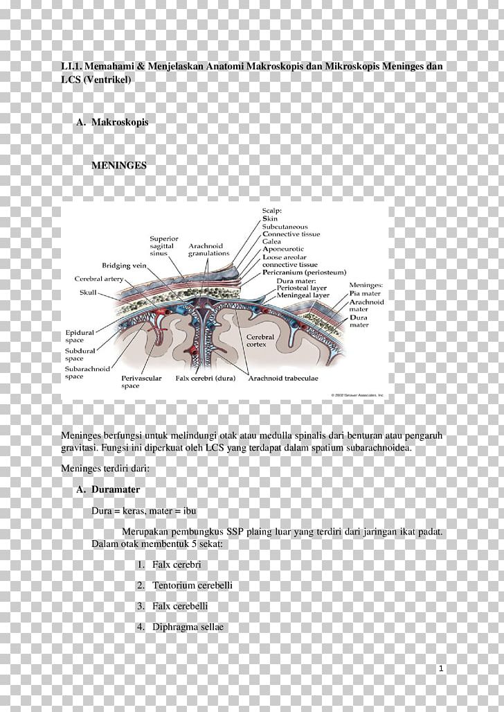 Meninges Arachnoid Mater Dura Mater Spinal Cord Subarachnoid Space PNG, Clipart, Angle, Arachnoid Granulation, Arachnoid Mater, Brain, Cerebrospinal Fluid Free PNG Download