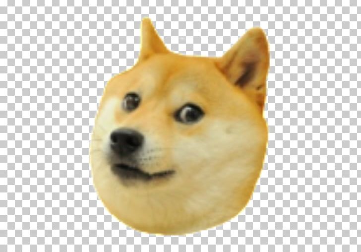 Shiba Inu 0 Star Doge: Weird Game T-shirt PNG, Clipart, Akita Inu, Ancient Dog Breeds, Carnivoran, Clothing, Companion Dog Free PNG Download