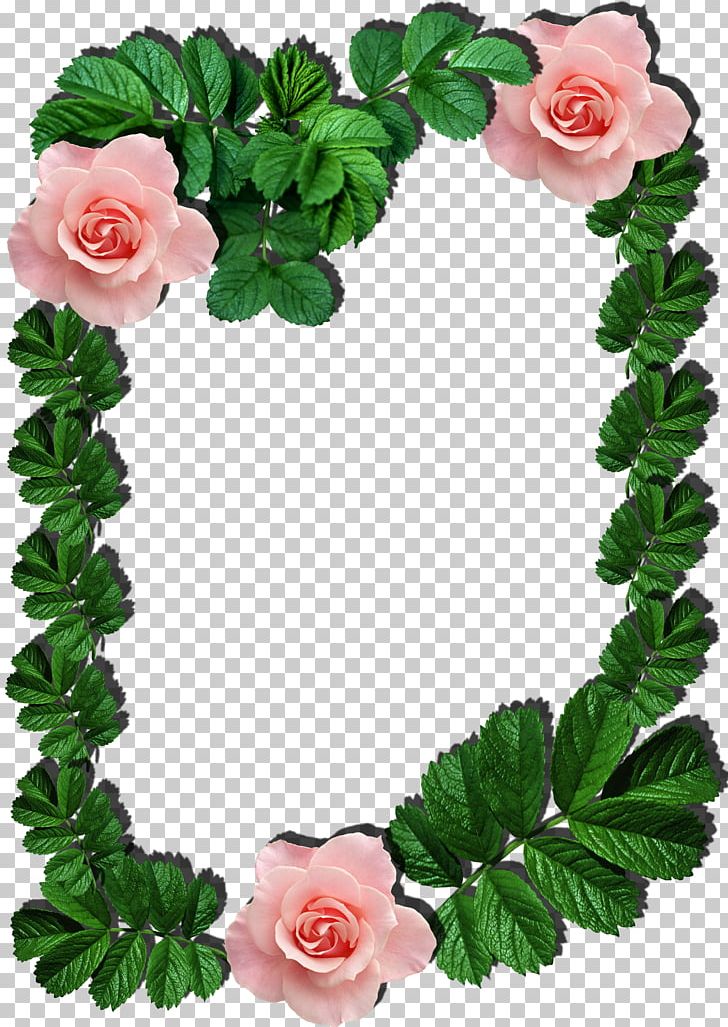 Frames PNG, Clipart, Artificial Flower, Cut Flowers, Download, Flower, Flowering Plant Free PNG Download